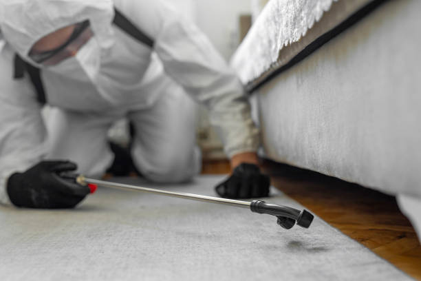 Professional Bed Bug Control technician working in Emporia city County, VA